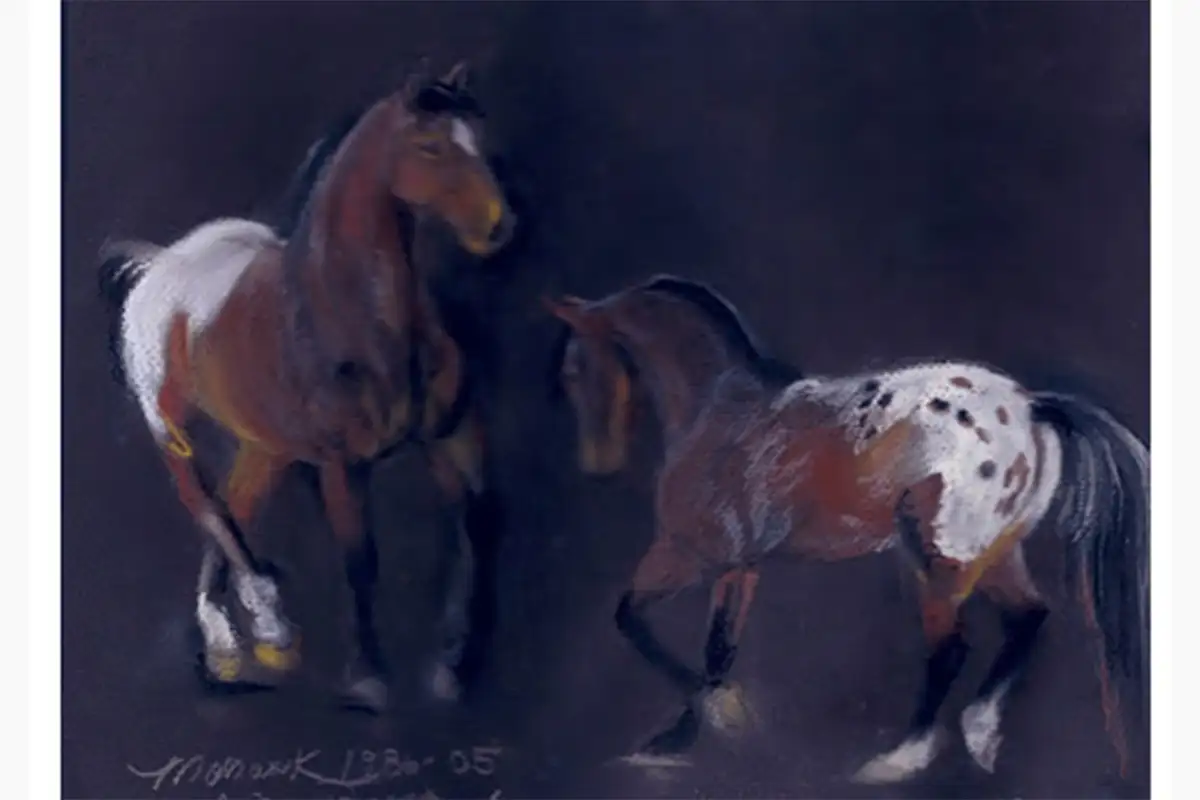 Expressive equine charcoal sketch featuring a bay horse and appaloosa horse in motion against a dark background drawing